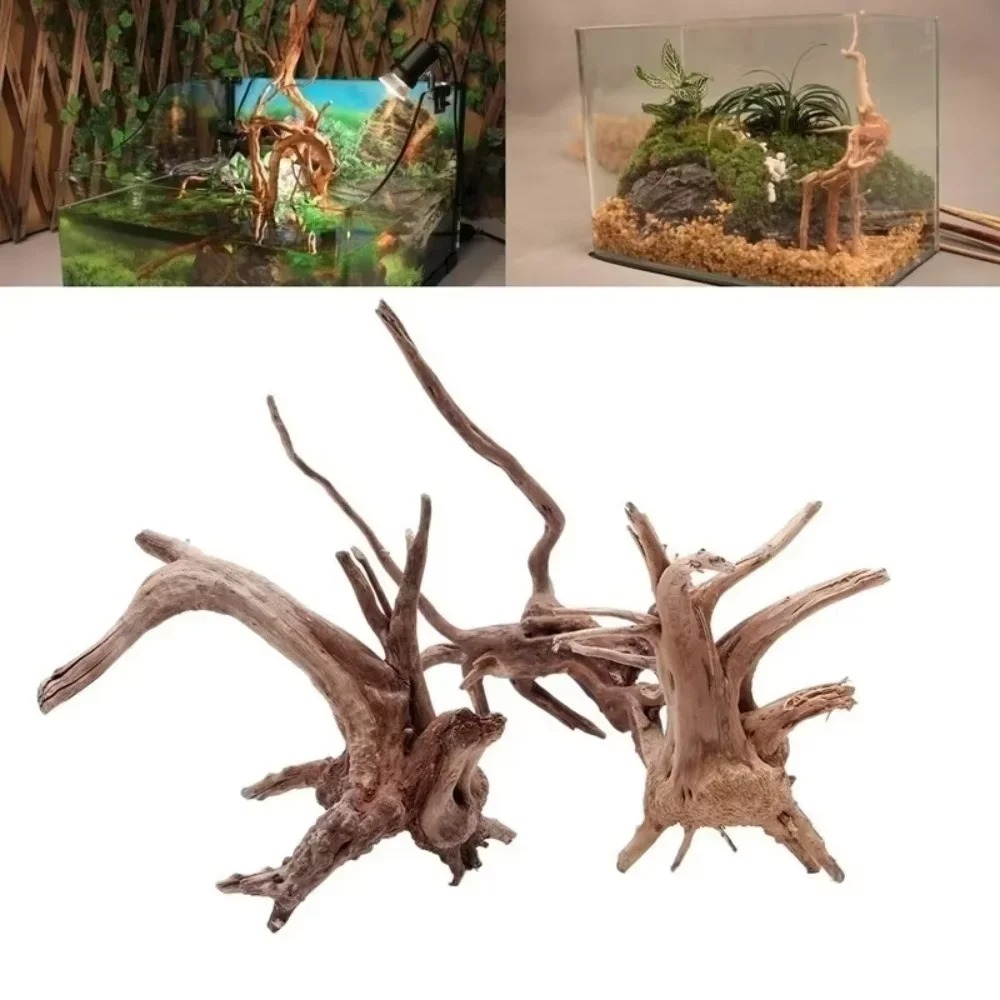Aquarium Marine Fish - ไม้ลอยน้ำธรรมชาติขนาด 15-20 ซม. สำหรับตกแต่งตู้ปลา - ของตกแต่งตู้ปลาคุณภาพพรีเมียม