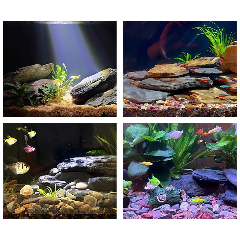 ชุดหินตกแต่งตู้ปลา 500/1000 กร - Aquarium Marine Fish บทวิจารณ์และราคา