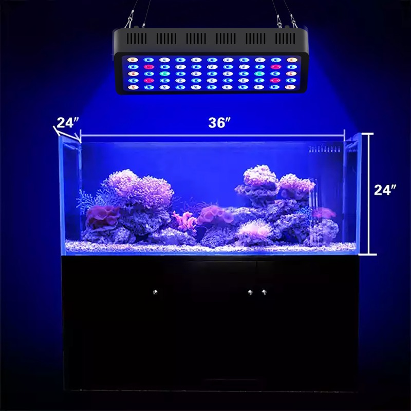 ไฟตู้ปลา 165W พร้อมระบบควบคุมผ - Marine Aquarium Timing บทวิจารณ์และราคา
