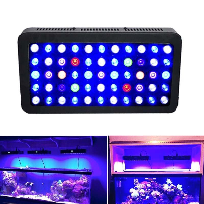 ไฟตู้ปลา 165W พร้อมระบบควบคุมผ - Marine Aquarium Timing บทวิจารณ์และราคา