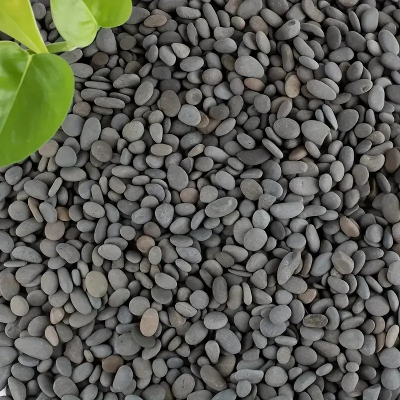 20 ชิ้นธรรมชาติ River Rocks Sm - Aquarium Marine Fish บทวิจารณ์และราคา