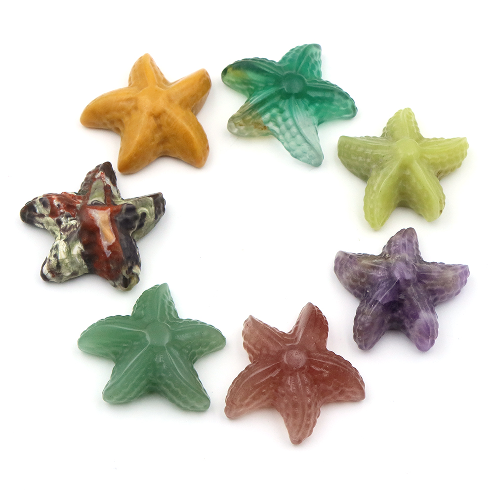 รูปปั้นปลาดาวขนาด 35 มม. รูปทร - Aquarium Marine บทวิจารณ์และราคา
