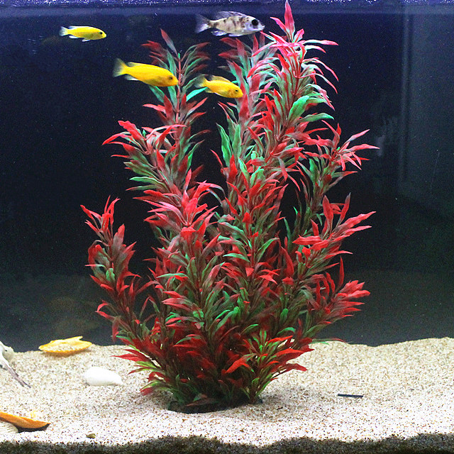 50 ซม.ถังปลาประดิษฐ์พืชหายากAq - Aquarium Marine Fish บทวิจารณ์และราคา