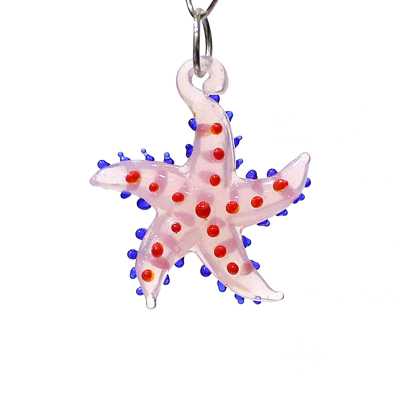 สัตว์ทะเลน่ารักปลาดาวเสน่ห์แก้ - Aquarium Marine บทวิจารณ์และราคา