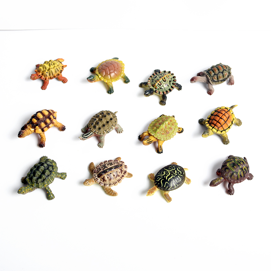 โมเดลเต่าทะเลขนาดเล็กเหมือนจริ - Aquarium Marine บทวิจารณ์และราคา