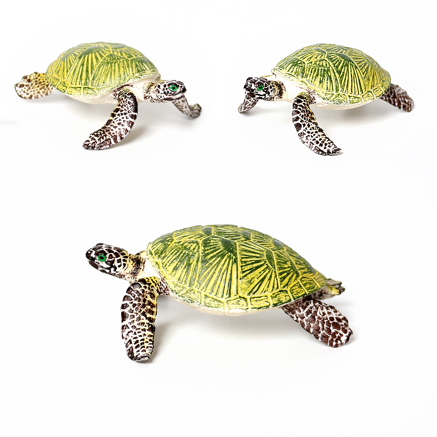โมเดลเต่าทะเลขนาดเล็กเหมือนจริ - Aquarium Marine บทวิจารณ์และราคา